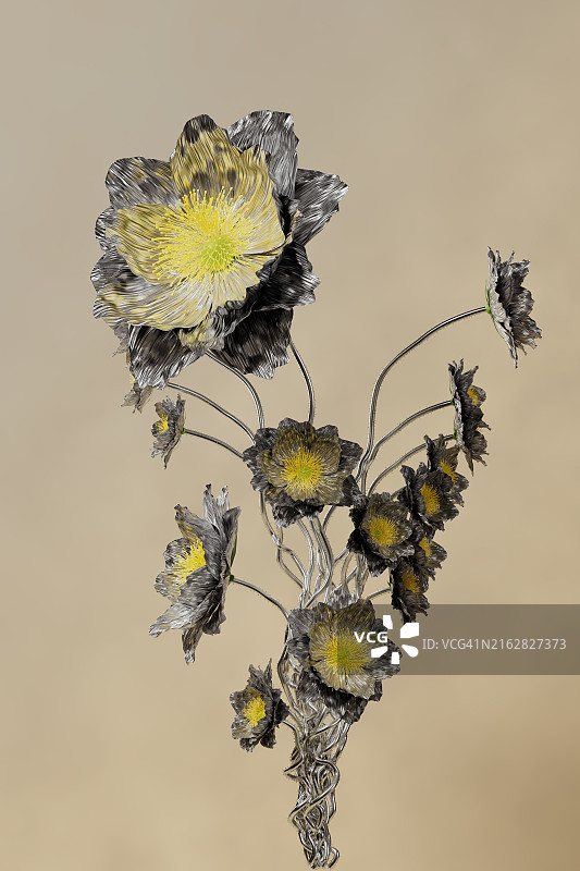 人工多色CGI抽象花卉风格框架图片素材