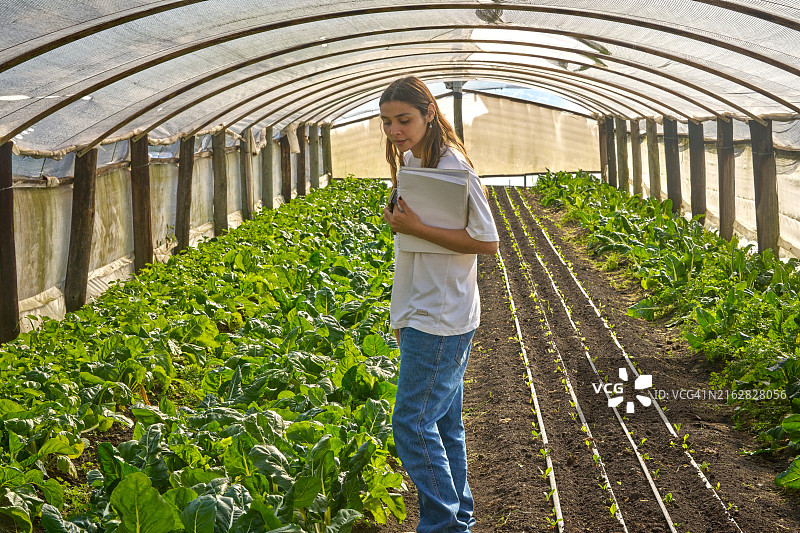 自然疗愈图片素材