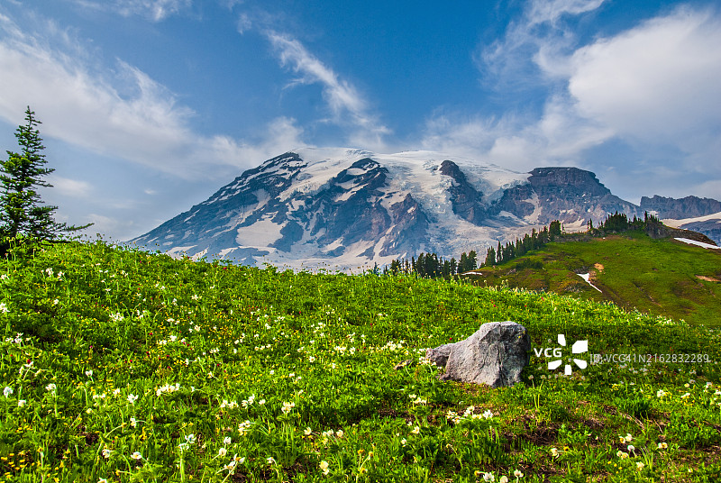 雷尼尔山与伊迪丝盆地草甸图片素材