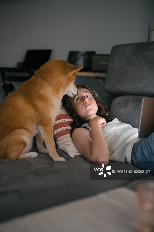 小狗想引起用笔记本电脑工作的少女的注意图片素材