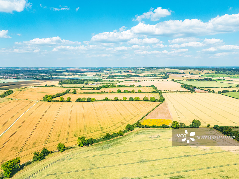 夏季农业区成熟的金色小麦作物鸟瞰图图片素材