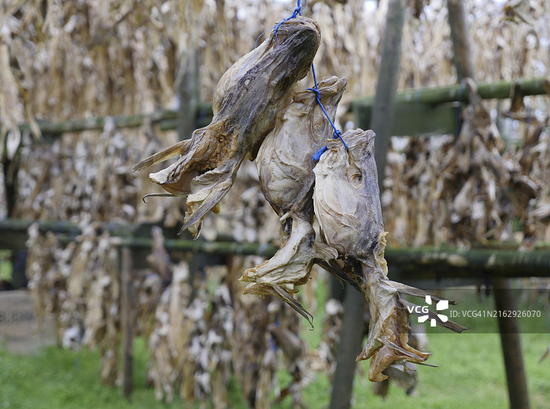 鱼干和鱼头图片素材
