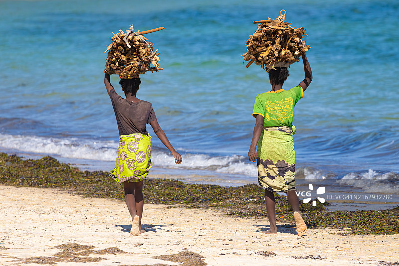 女士在海滩上捡柴图片素材