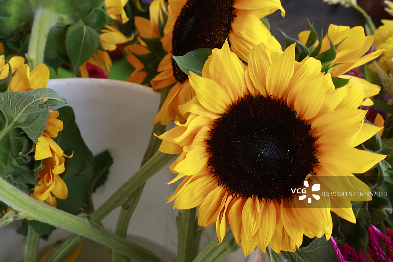 农贸市场出售的向日葵图片素材