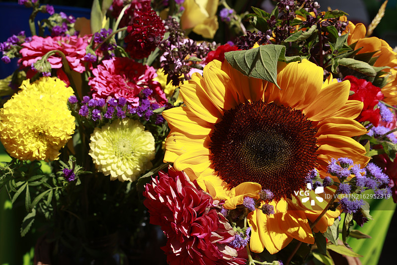 农贸市场出售的向日葵图片素材