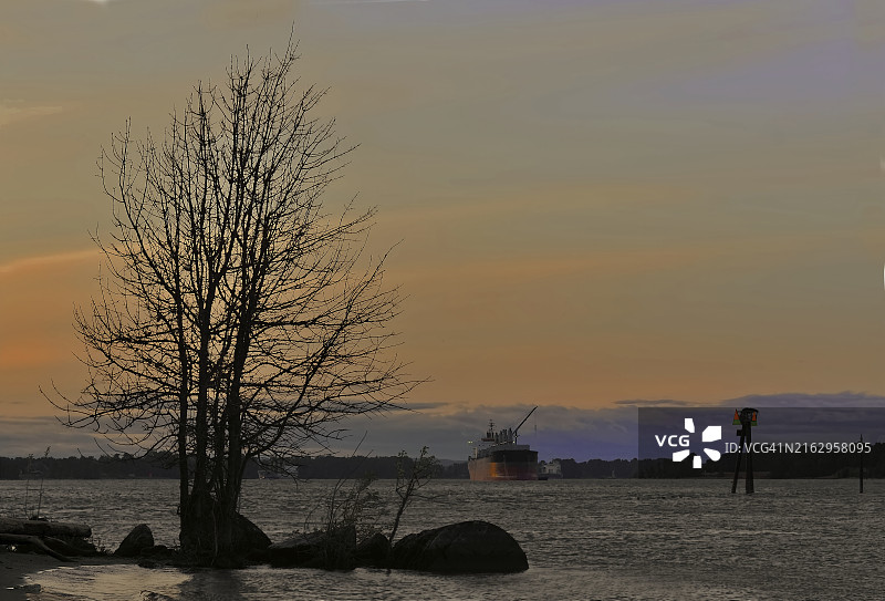 威拉米特河上的集装箱船图片素材