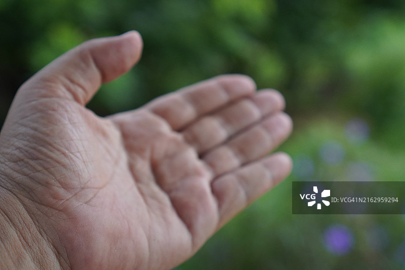亚洲女性手部特写展示数字五图片素材