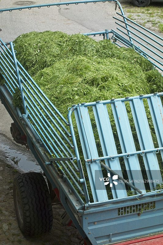 拖车内的割草场景图片素材