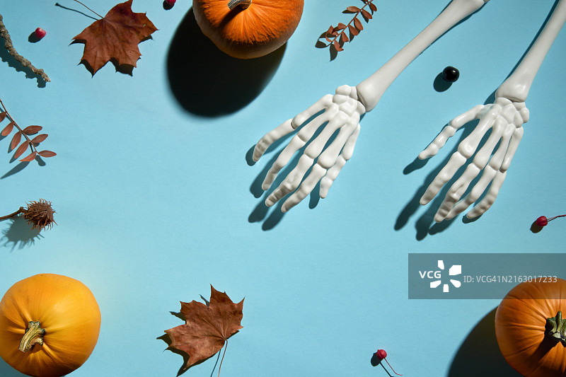 万圣节节日背景：骷髅手、南瓜和枫叶图片素材