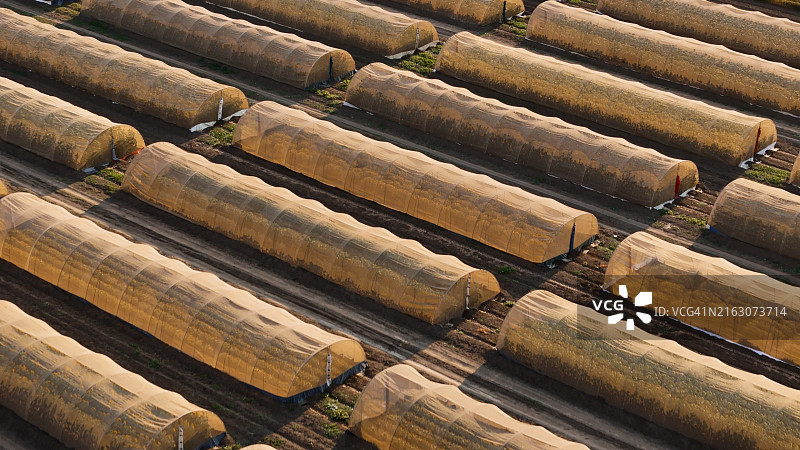 加利福尼亚州北部温室农业设施日落航拍照片图片素材