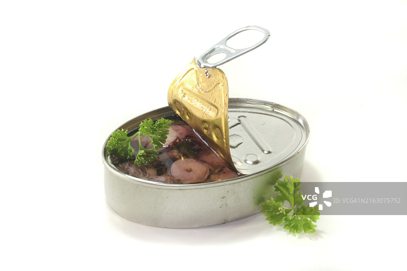 白色背景下装有欧芹的鱿鱼罐头图片素材