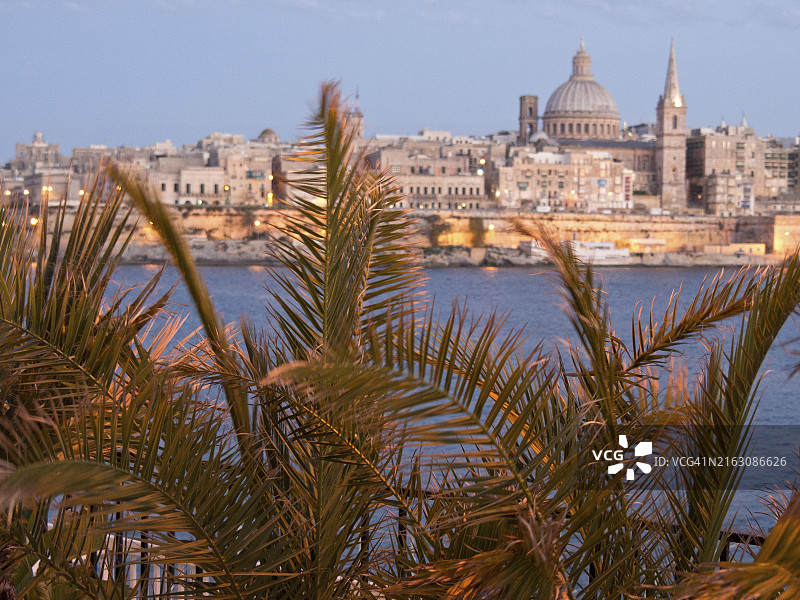 前景中的棕榈树与背景中瓦莱塔地中海的城市夜景图片素材