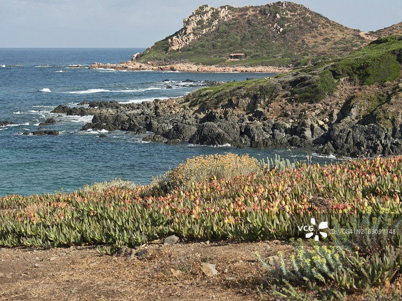 蓝色天空下，科西嘉阿雅克肖多石丘的海岸风光图片素材