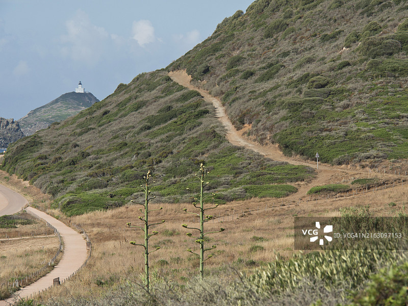 阿雅克肖：科西嘉岛的蜿蜒徒步小径，远处有灯塔（法国）图片素材