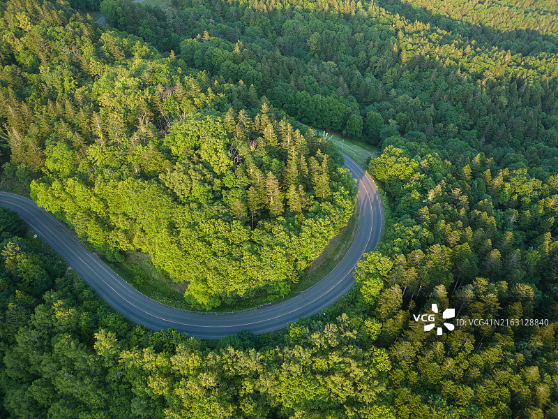 日本北海道田园森林公路图片素材