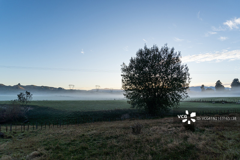 朗伊蒂凯地区迷雾乡村中沐浴金色阳光的孤树图片素材