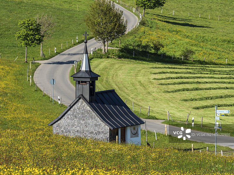 德国阿尔高盛开草甸上的乡村道路和小教堂图片素材