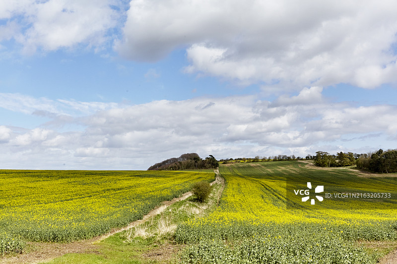 威尔特郡的春天图片素材
