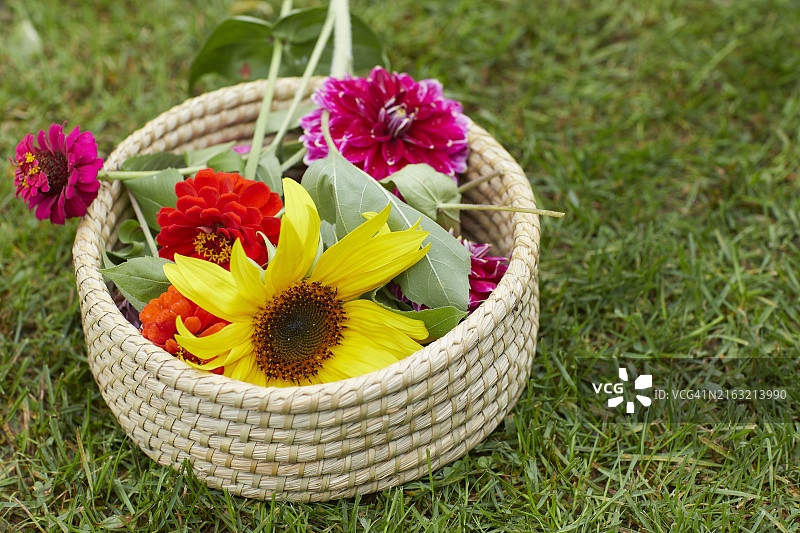 一篮新鲜的切花图片素材