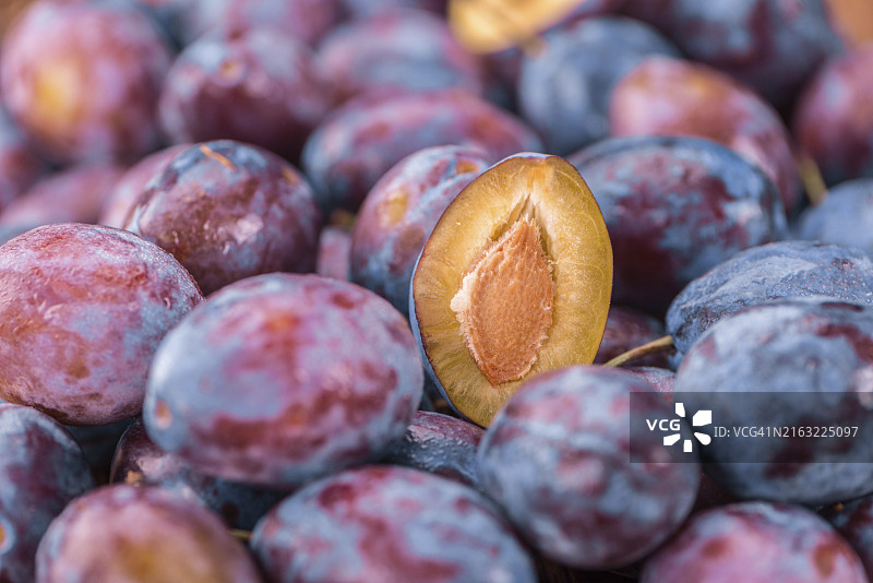 新鲜的李子图片素材