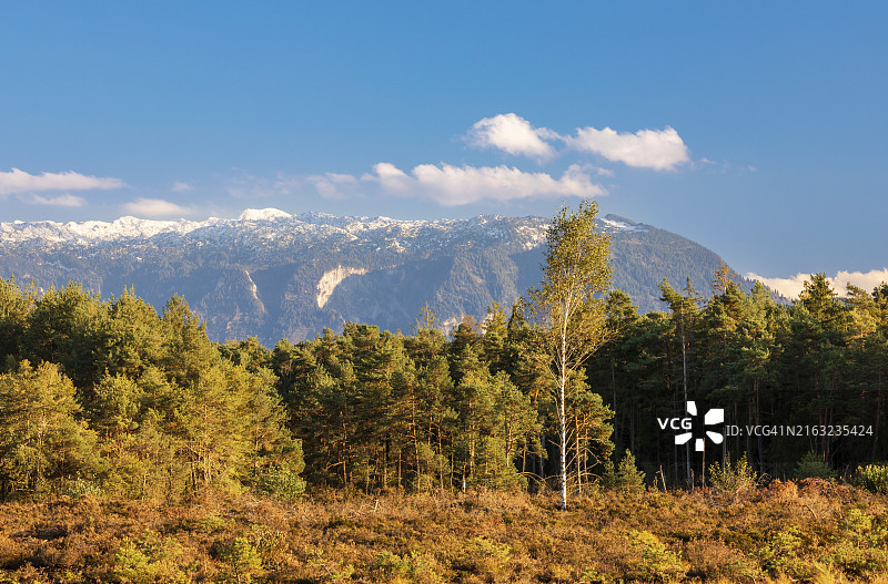 特劳恩施泰因附近的舍恩拉默菲尔茨沼泽图片素材