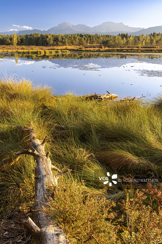 特劳恩施泰因附近的舍恩拉默菲尔茨沼泽图片素材