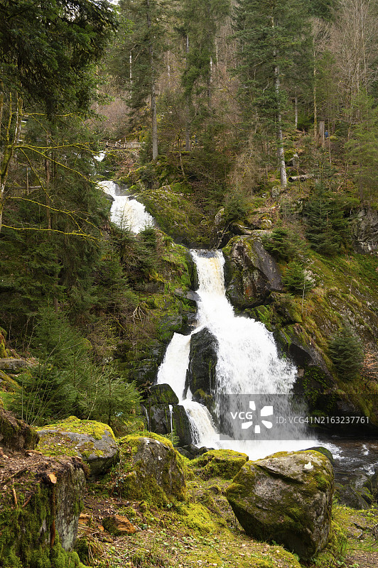 黑森林特里贝格瀑布，德国最高的瀑布，古塔赫河从七个主要台阶倾泻入山谷，木桥图片素材