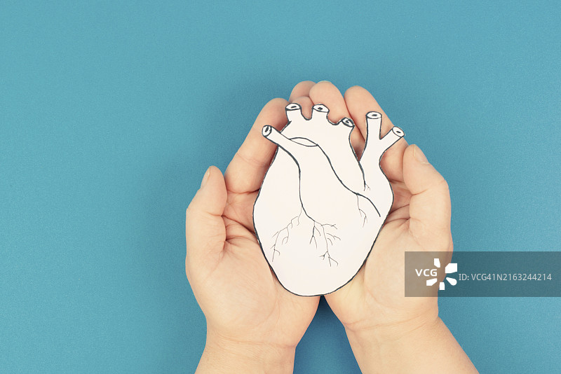 心脏病发作、心肌炎、肌肉炎症、血栓和心脏压力，双手捧着人体器官图片素材