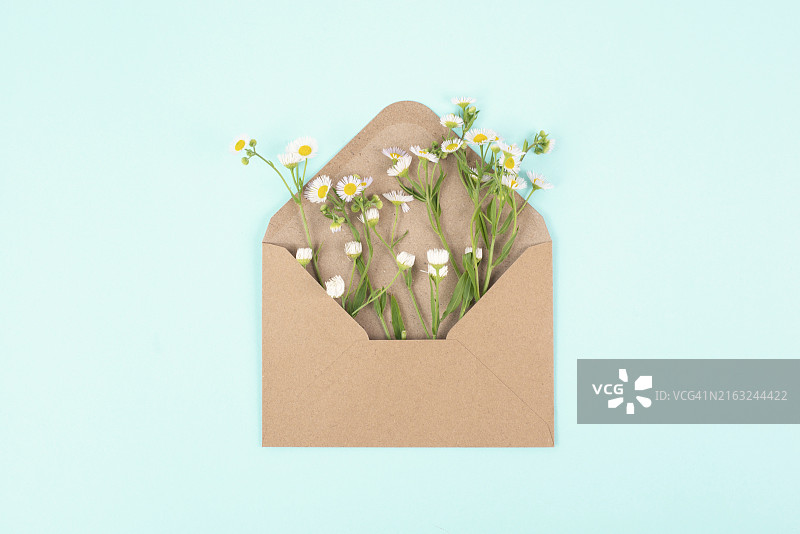 带雏菊花的信封，送给母亲和祖母的贺卡，夏季生日礼物，野花礼物图片素材