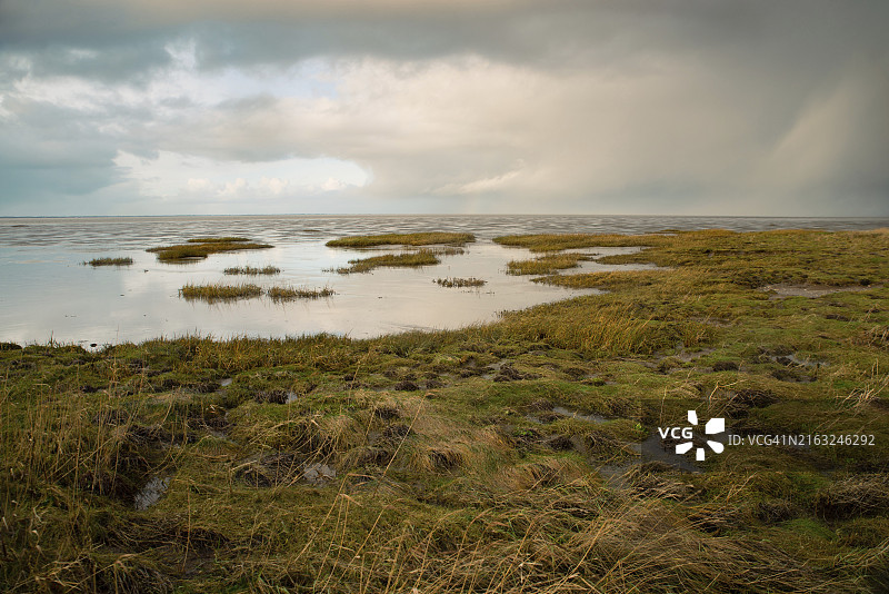 丹麦罗莫岛的瓦登海，潮间带，湿地植物，北海退潮图片素材