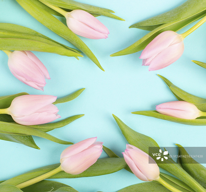 用于生日、复活节、情人节、母亲节、春季的郁金香贺卡，粉彩色图片素材