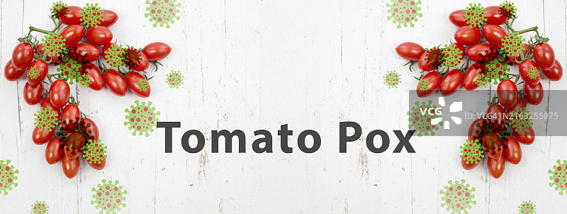 番茄痘病毒，印度病毒爆发，传染病蔓延图片素材