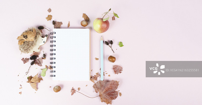 带有苹果和刺猬的空白笔记本，带有彩色树叶的秋季模板，办公桌，蜡笔色图片素材