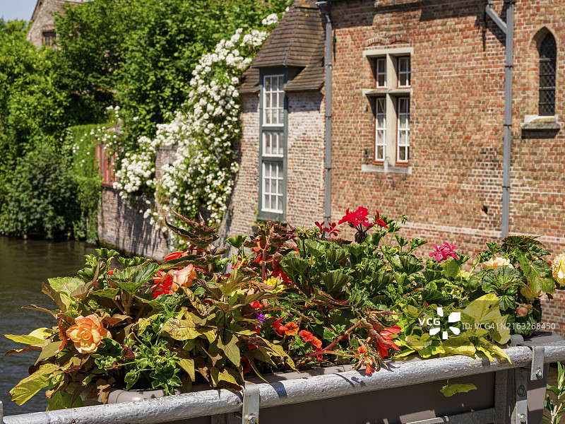 比利时布鲁日河畔砖墙鲜花美景图片素材