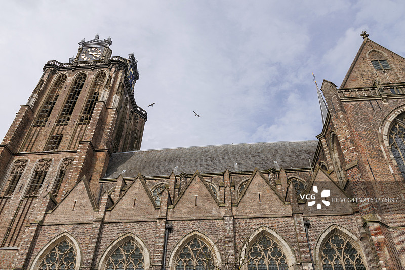 荷兰多德雷赫特哥特式教堂塔楼与飞鸟图片素材