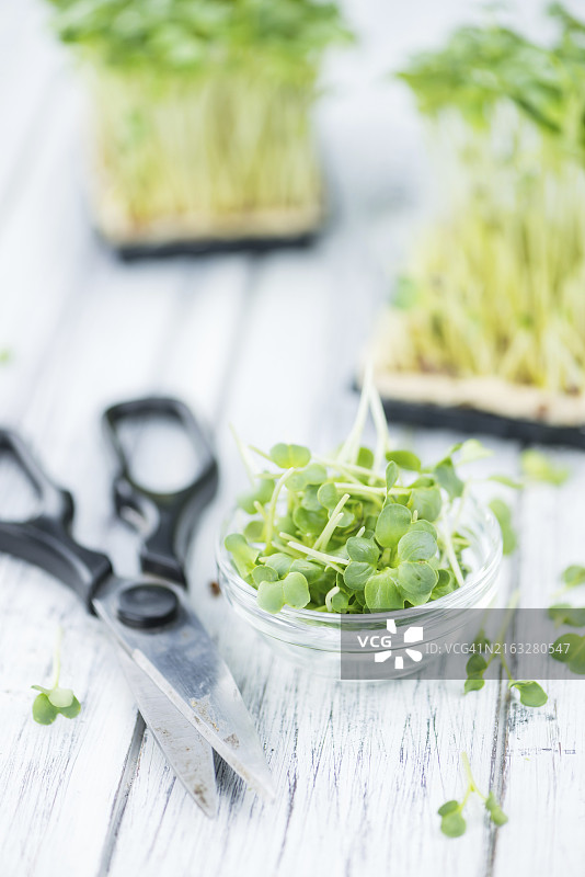 新鲜切碎的豆瓣菜（特写镜头，选择性聚焦）图片素材