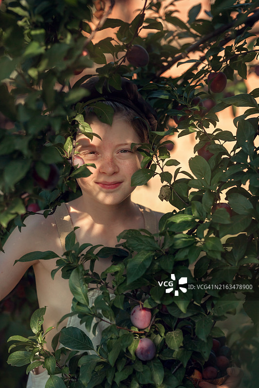 花园里果树枝间一个快乐的雀斑男孩的肖像图片素材