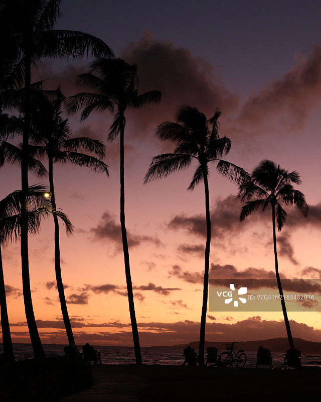 美国夏威夷科洛阿日落时天空下的棕榈树轮廓图片素材