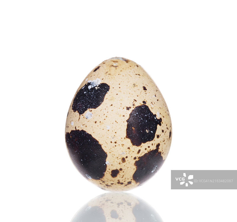 白色背景下的鸡蛋特写图片素材