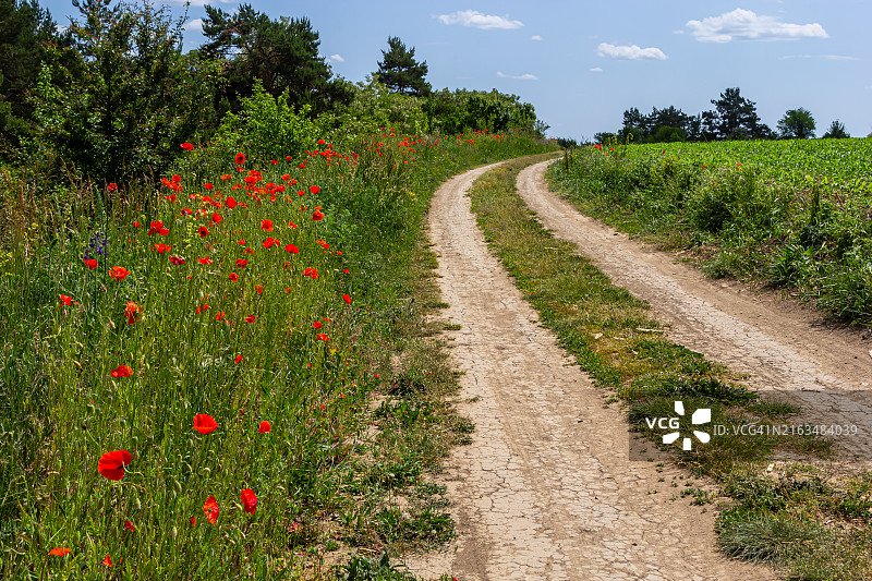 带有深深轮胎印的脏污破损乡村道路图片素材