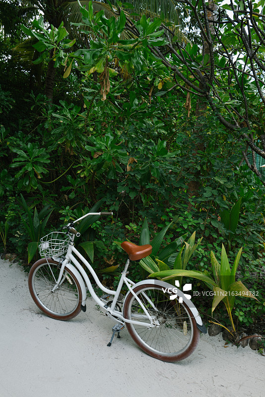 停放在热带度假区沙滩小路上的白色复古自行车图片素材