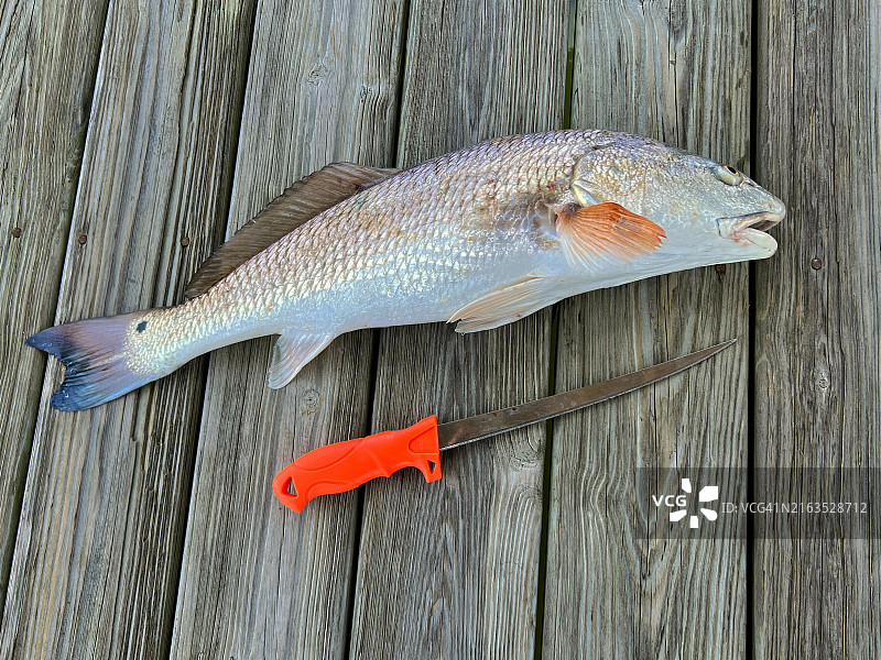 码头上的红鱼和鱼片刀图片素材