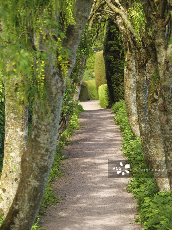 一条狭窄的小路穿过天然的树木和绿叶，位于英国苏格兰因弗内斯图片素材