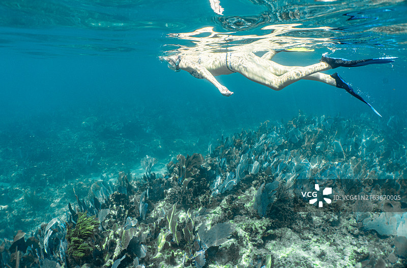 在约翰·彭尼坎普珊瑚礁州立公园浮潜的母女图片素材