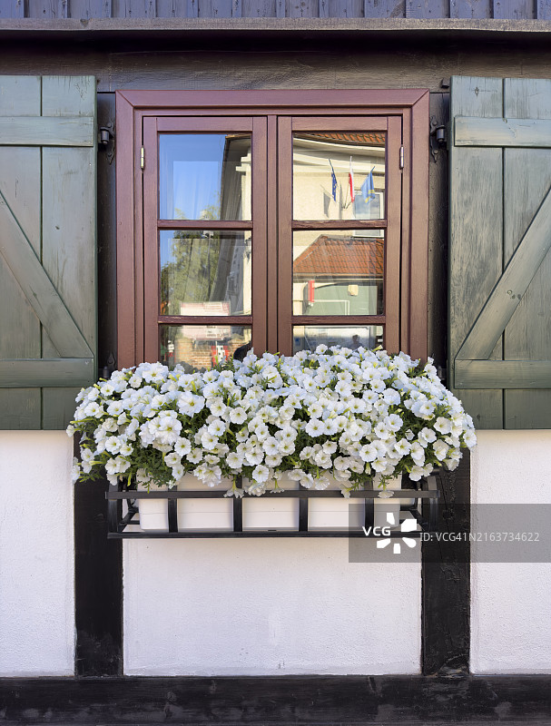 波兰海尔的典型木窗房屋，装饰着白色矮牵牛花图片素材