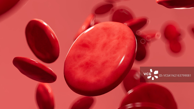 血细胞图片素材