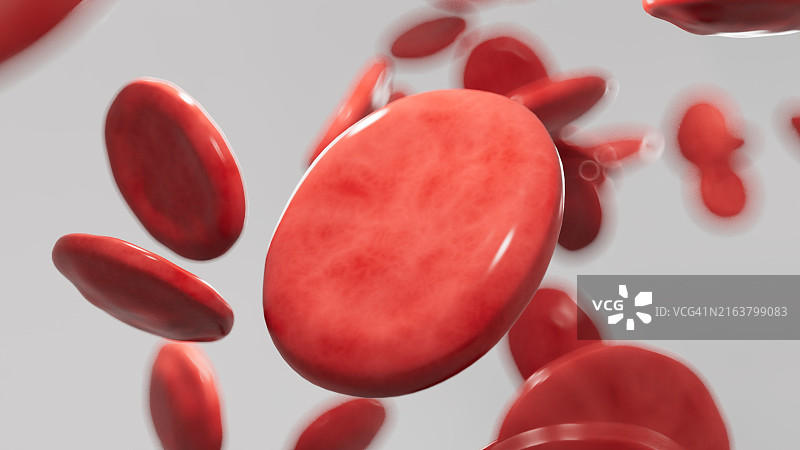 血细胞图片素材