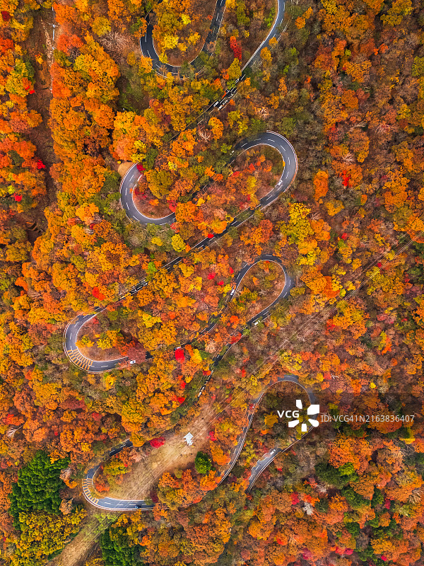 日本日光市美丽山脉的蜿蜒道路航拍图片素材
