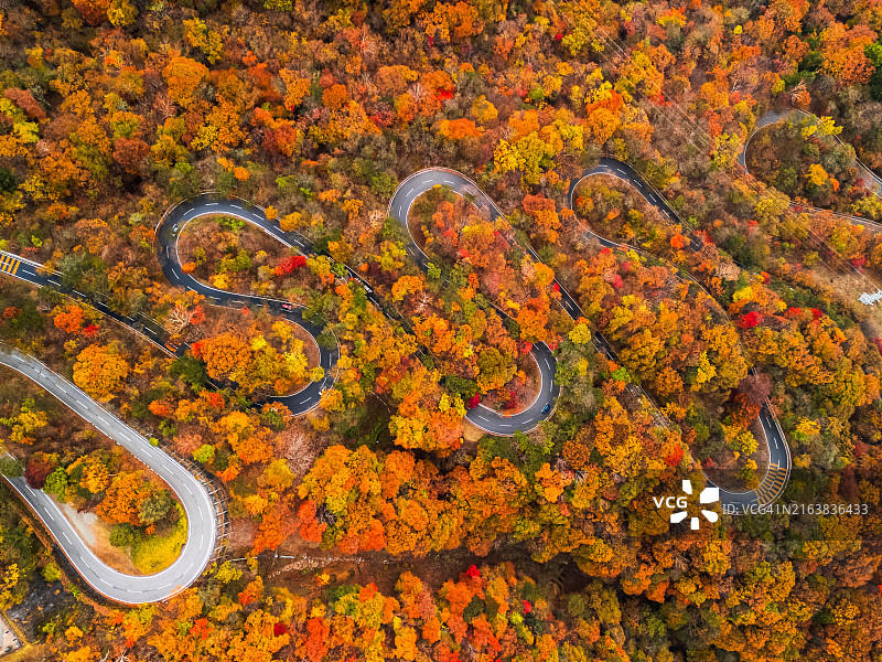 日本日光市美丽山脉的蜿蜒道路航拍图片素材