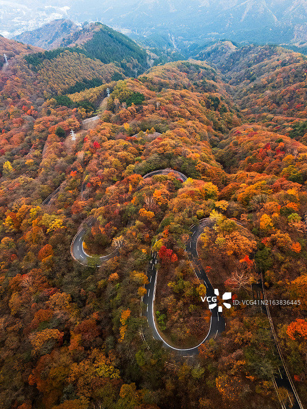 日本日光市美丽山脉的蜿蜒道路航拍图片素材